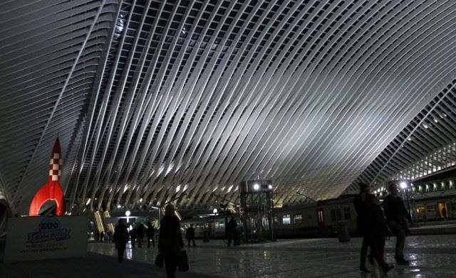 _MG_9623 (2)