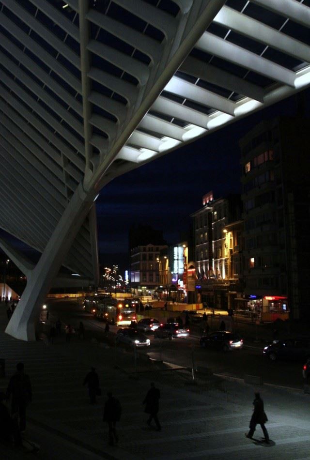 _MG_9628 (2)