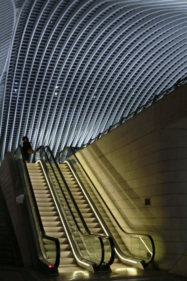 _MG_9648 (2)