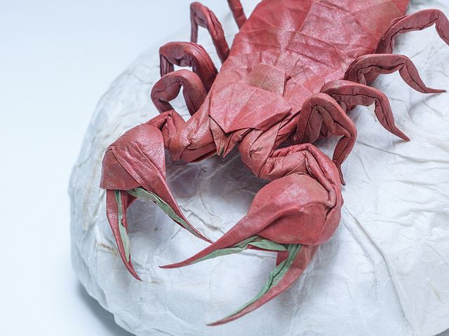 origami-5
