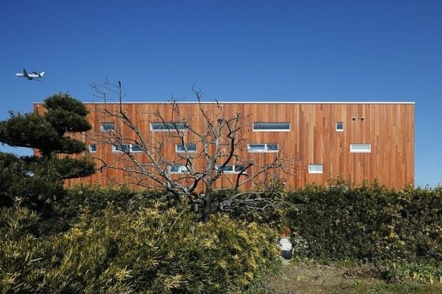 004-rhythm-plum-tree-keisuke-kawaguchi-k2design
