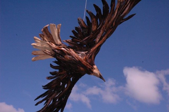 eagle2