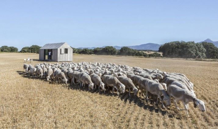 abaton-low-cost-prefab-cement-home-designboom02